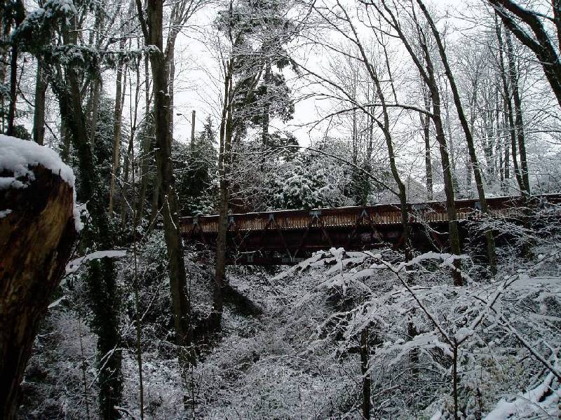 Bridge in Snow 